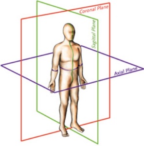 Scoliosis | 3D Treatment | Schroth Method