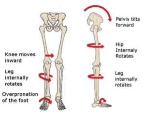 FootKneeHipBiomechanics